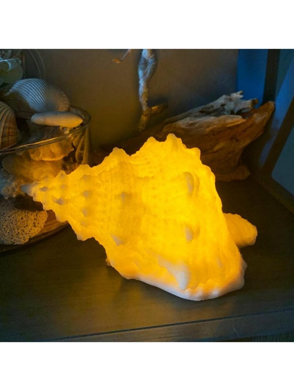 Battery-Powered Conch Shell Night Light for Kids & Adults - Nautical Beach Decor